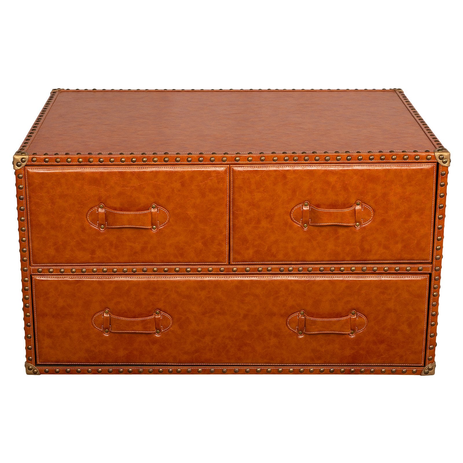 Luxury Vintage Leather Trunk