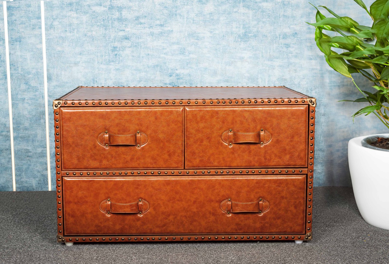 Luxury Vintage Leather Trunk