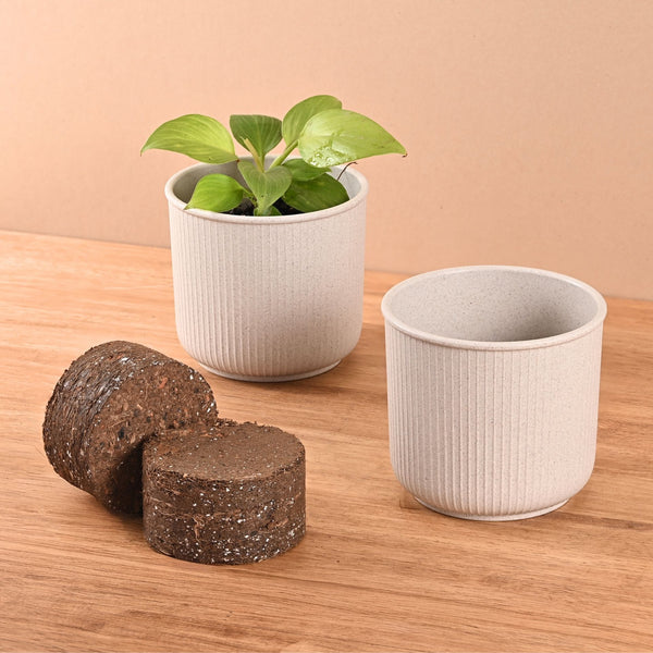 Earth Friendly Statement Pot 4 Inch Pots and Planters with Growmix | Set of 2