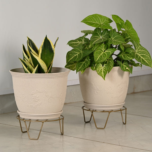 Earth-Friendly 10″ Leafy Planters with Tray & Stand | Set of 2
