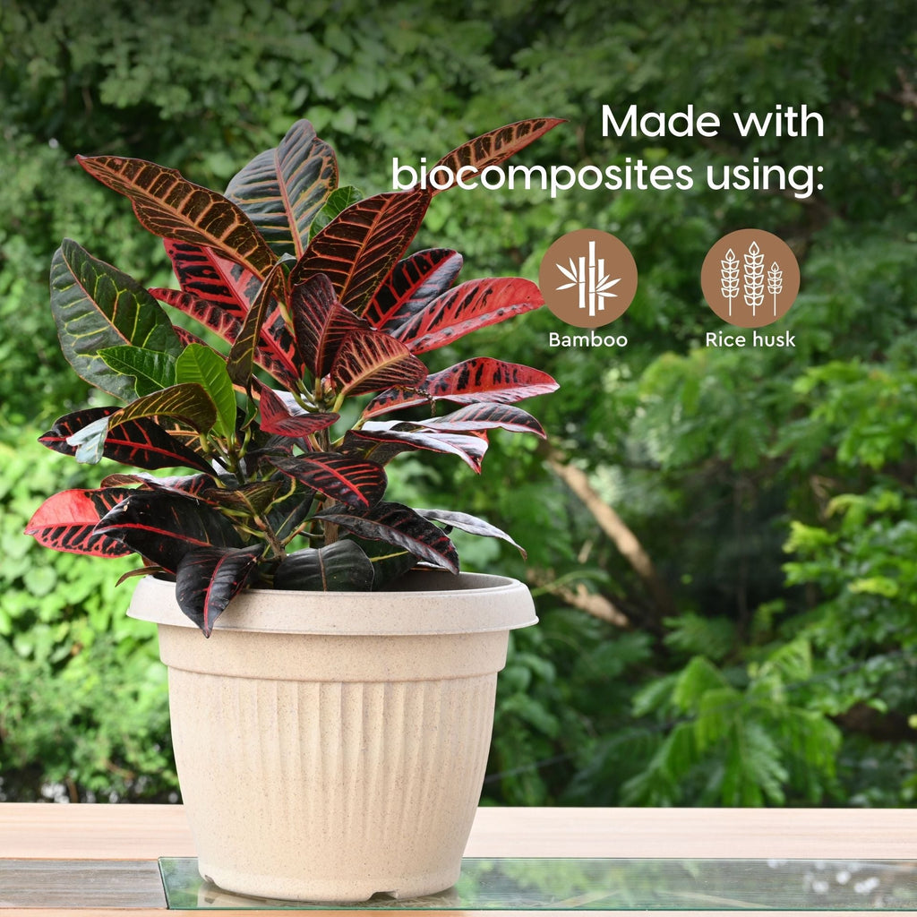 Earth Friendly Planters BellaRound 14 image 3