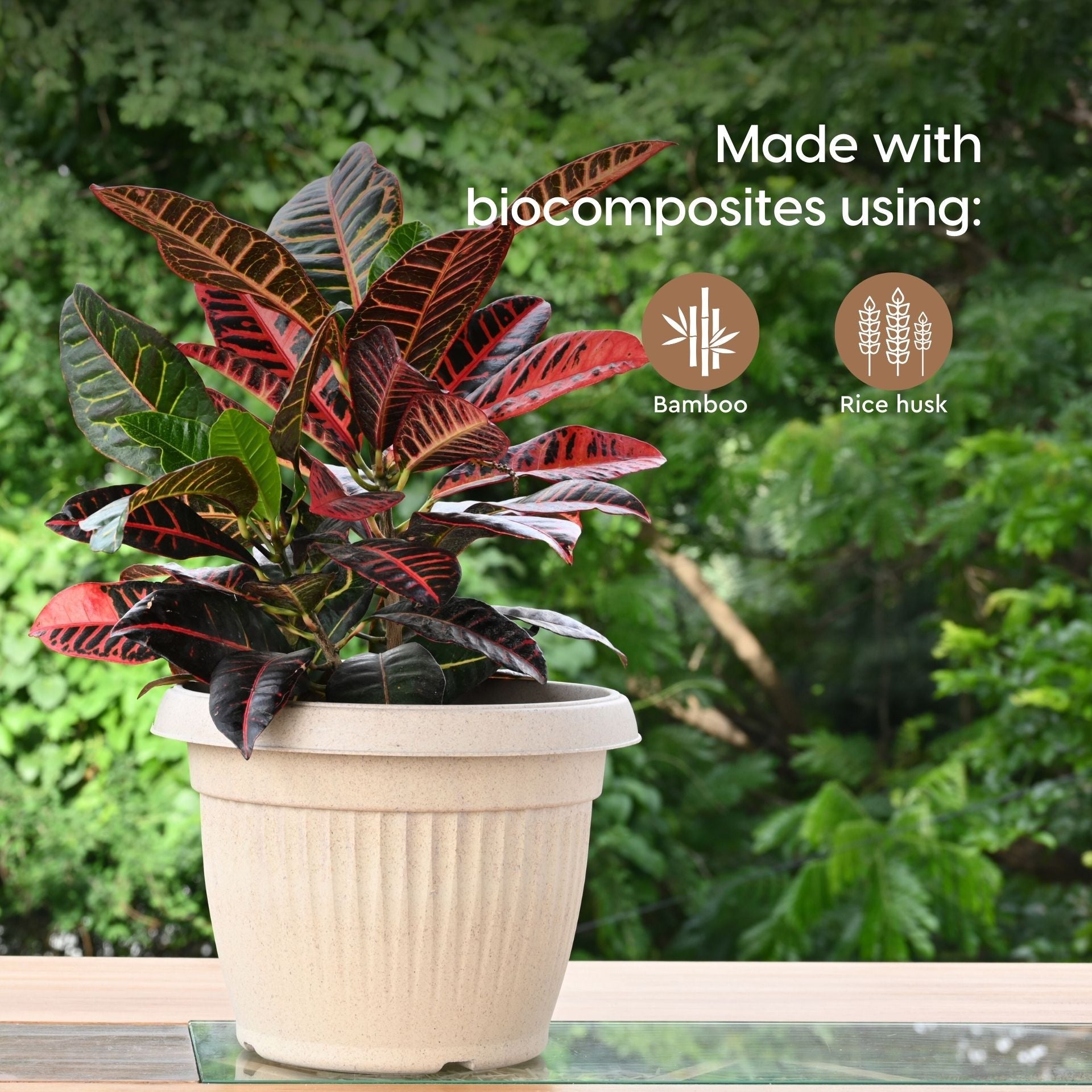 Earth Friendly Planters BellaRound 14 image 3