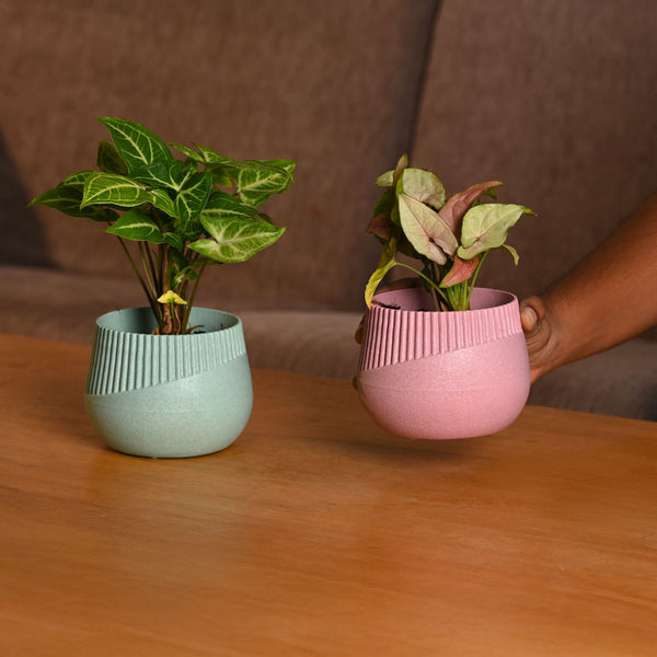 Earth-Friendly Oreo 4 inch small pots | Set of 2