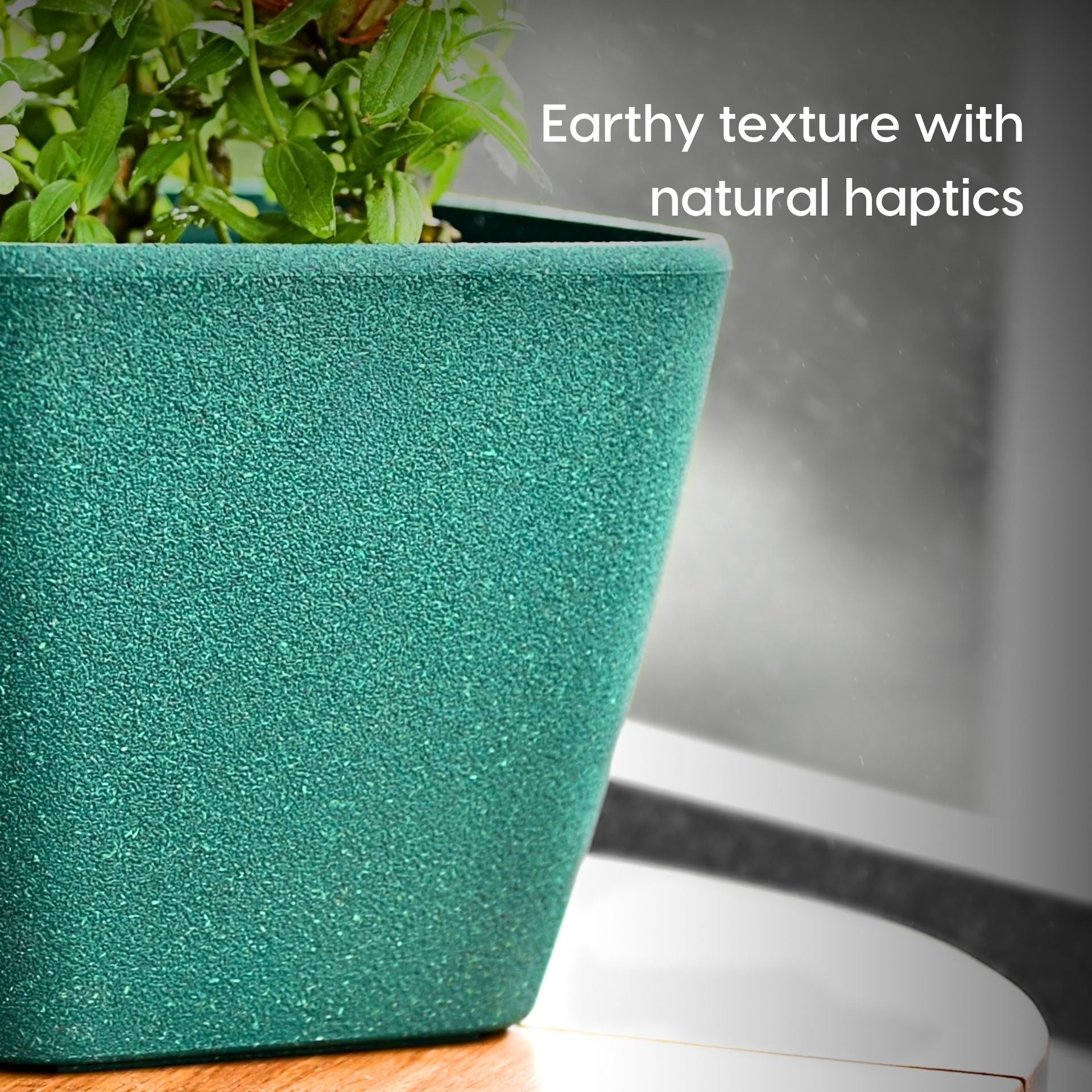 Earth Friendly Daisy Self Watering image 4