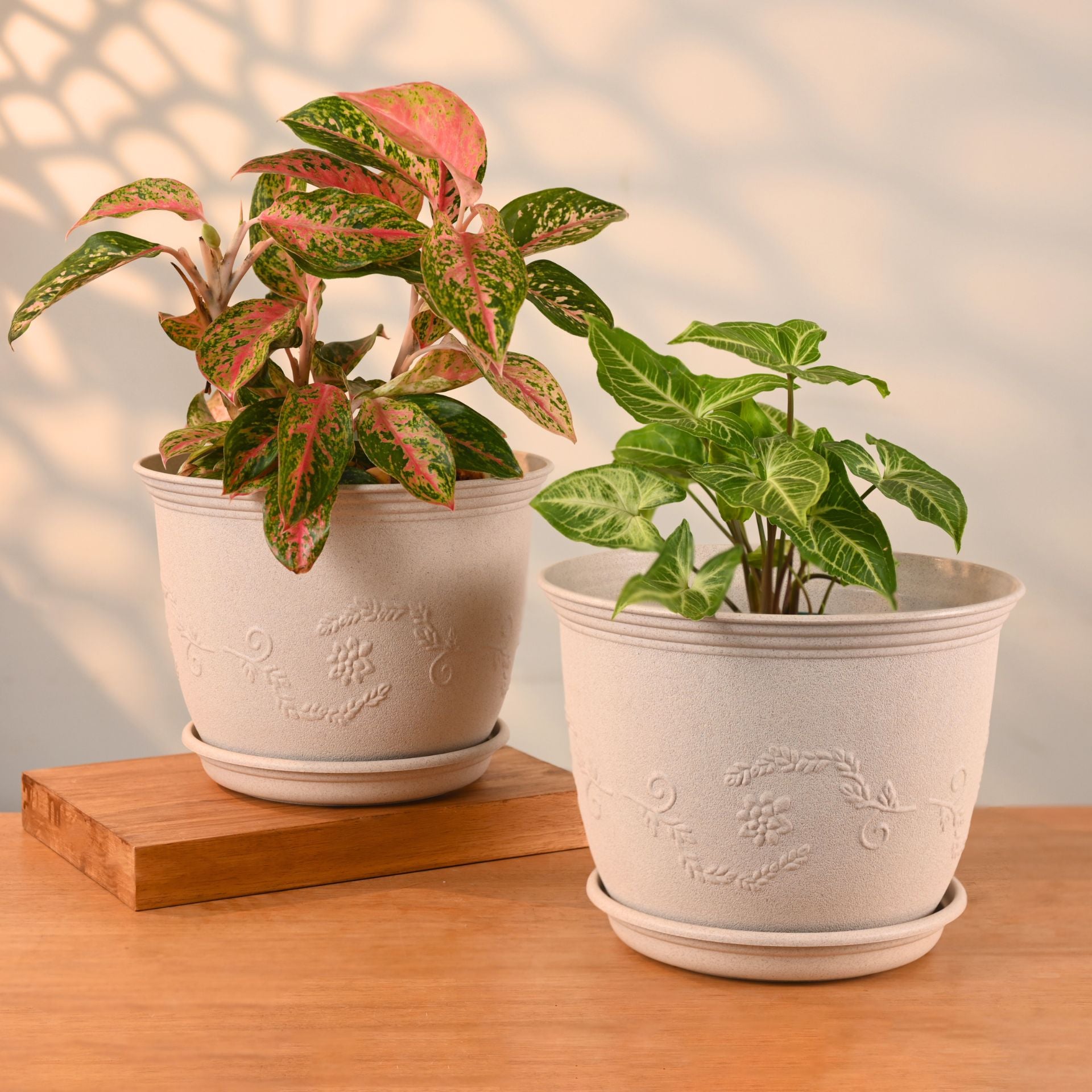 Earth-Friendly Planters Leafy 10 Inch set of 2 | Bamboo Based Pots and Planters with tray