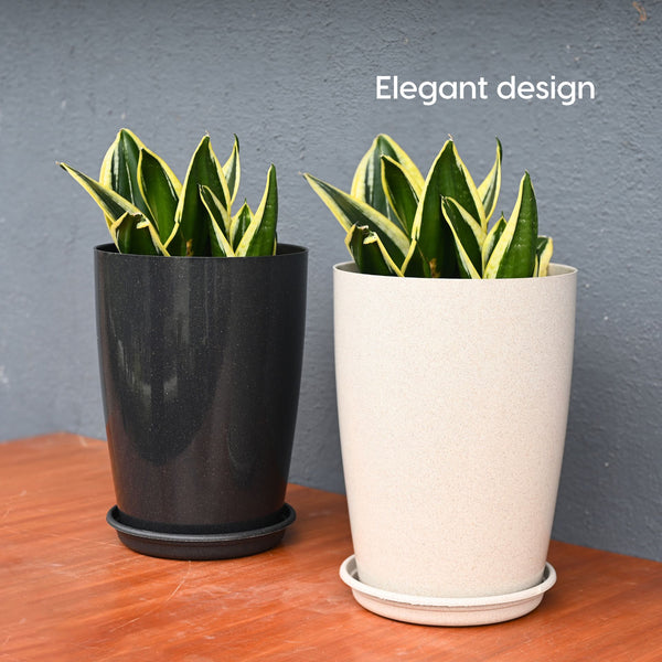 Earth Friendly Cypress 16″ | Set of 2