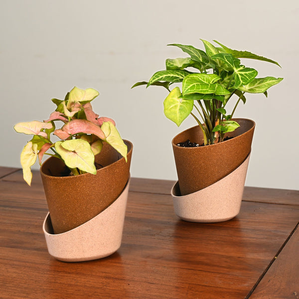 Earth-Friendly Planters EcoBloom 4 Inch set of 2 | Self watering Planters