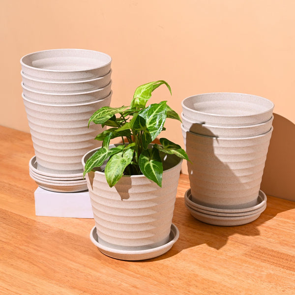 Earth Friendly Planters Linea 5.5 Inch | Set of 8
