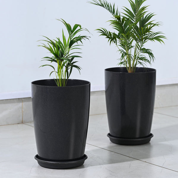 Earth Friendly Cypress 10″ | Set of 2