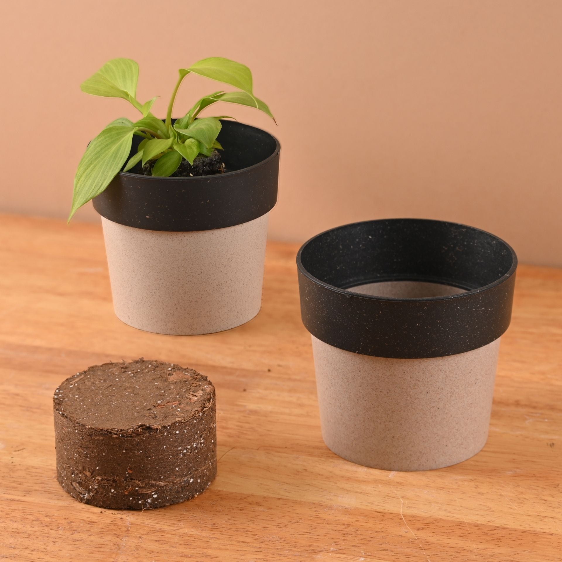 Earth Friendly Ecopod 4 inch Small pots for Indoor Plants with 1 Growmix | Pack of 2