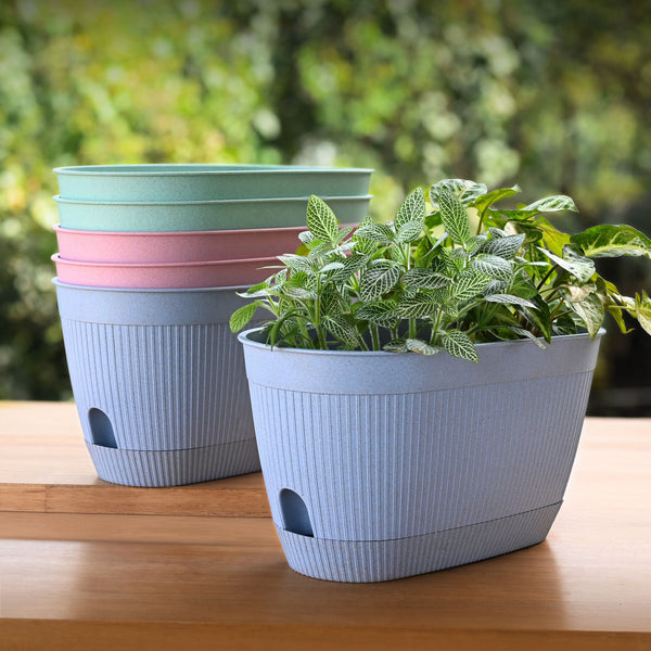 Eha Earth Friendly Eva 11.5 inch Pack of 6 | Self Watering Pots for Plants