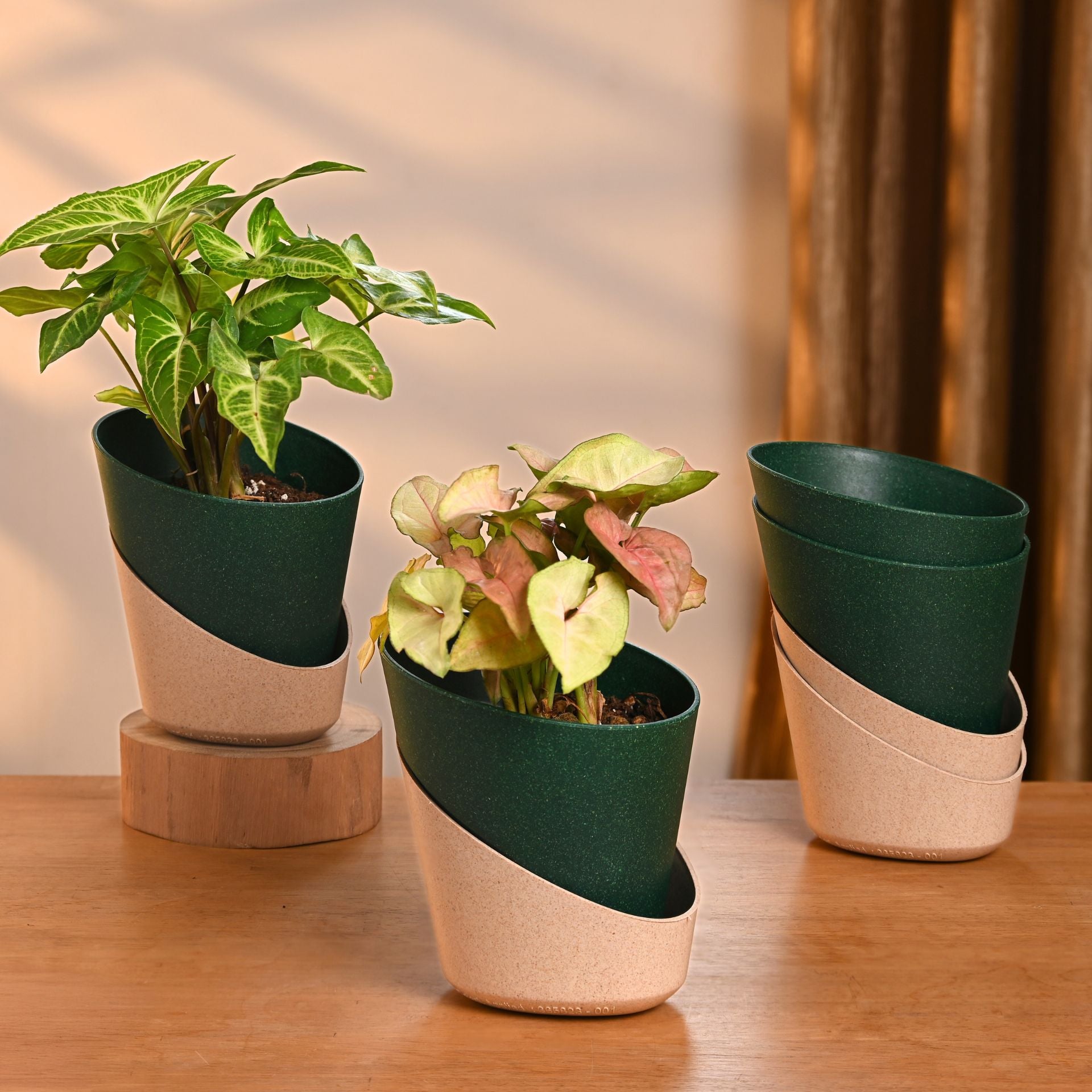 Earth-Friendly Planters EcoBloom 4 Inch set of 4 | Self watering Planters