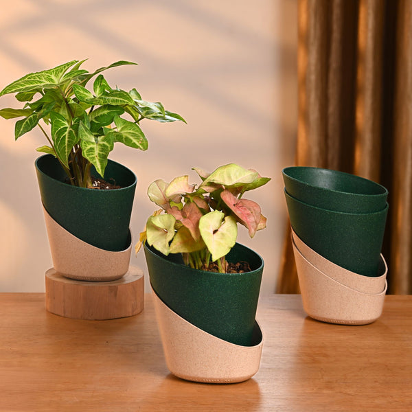 Earth-Friendly Planters EcoBloom 4 Inch set of 4 | Self watering Planters