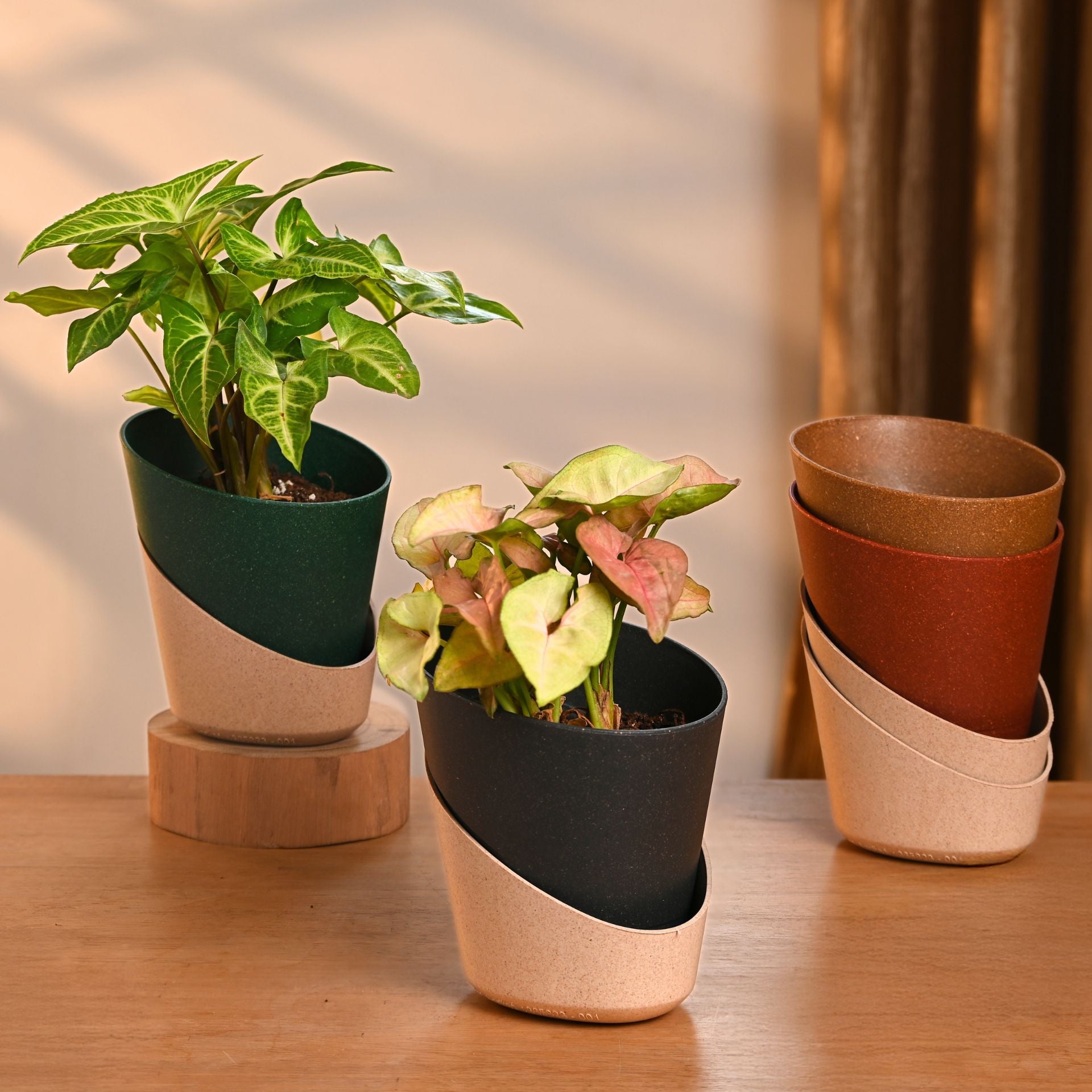 Earth-Friendly Planters EcoBloom 4 Inch set of 4 | Self watering Planters