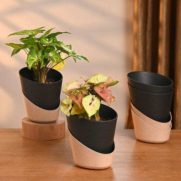 Earth-Friendly Planters EcoBloom 4 Inch set of 4 | Self watering Planters