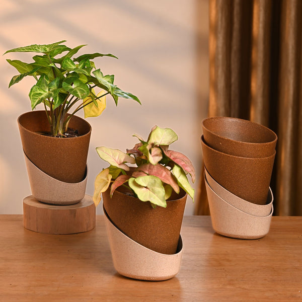 Earth-Friendly Planters EcoBloom 4 Inch set of 4 | Self watering Planters