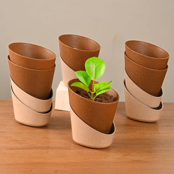 Earth-Friendly Planters EcoBloom 4 Inch set of 6 | Self watering Planters