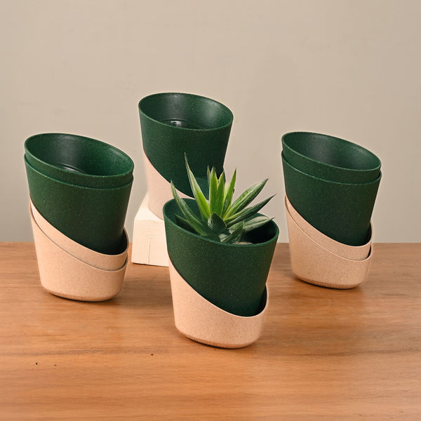 Earth-Friendly Planters EcoBloom 4 Inch set of 6 | Self watering Planters