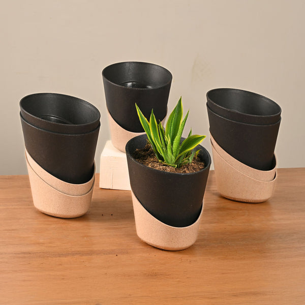 Earth-Friendly Planters EcoBloom 4 Inch set of 6 | Self watering Planters