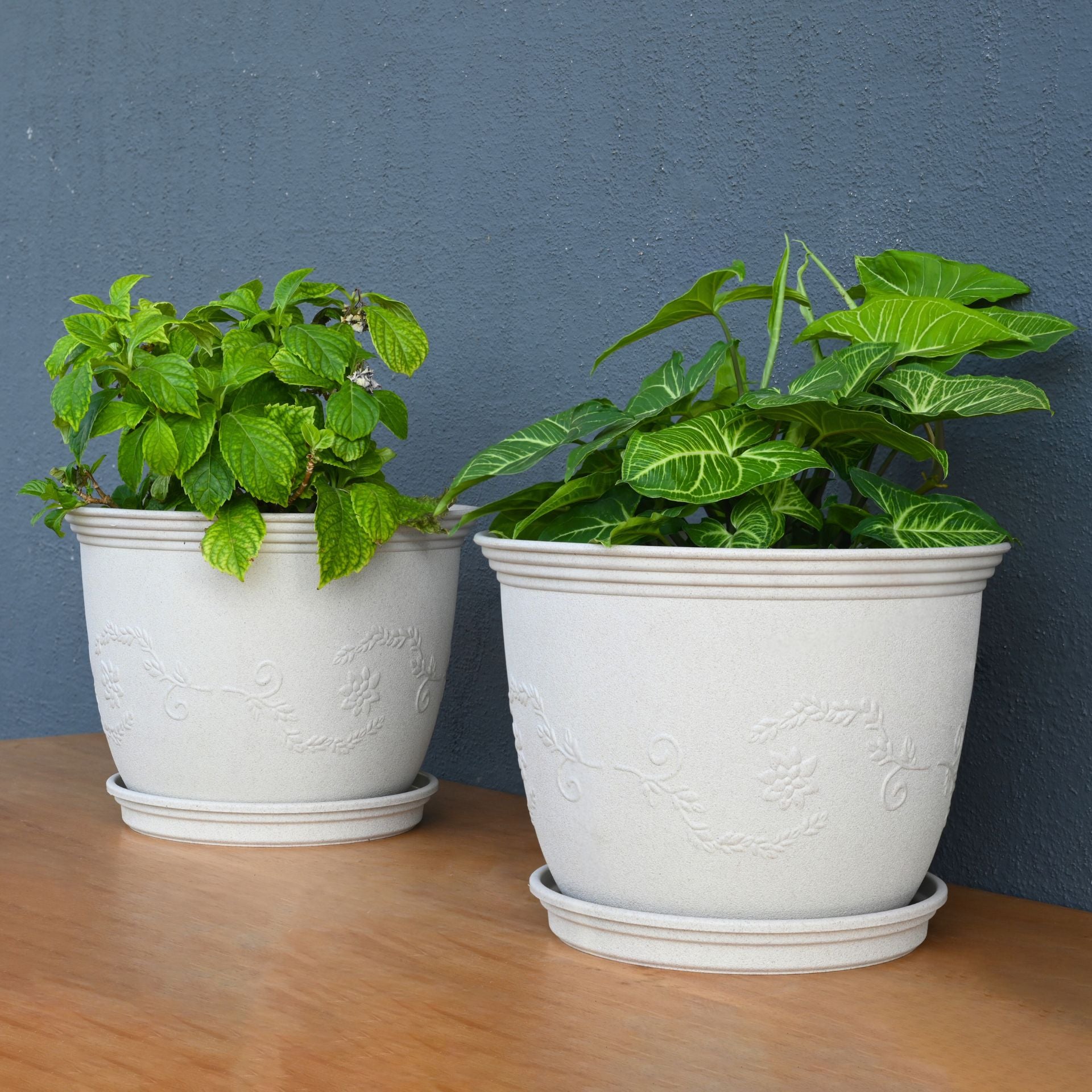 Earth-Friendly Planters Leafy 12 Inch set of 2 | Bamboo Based Pots and Planters with tray