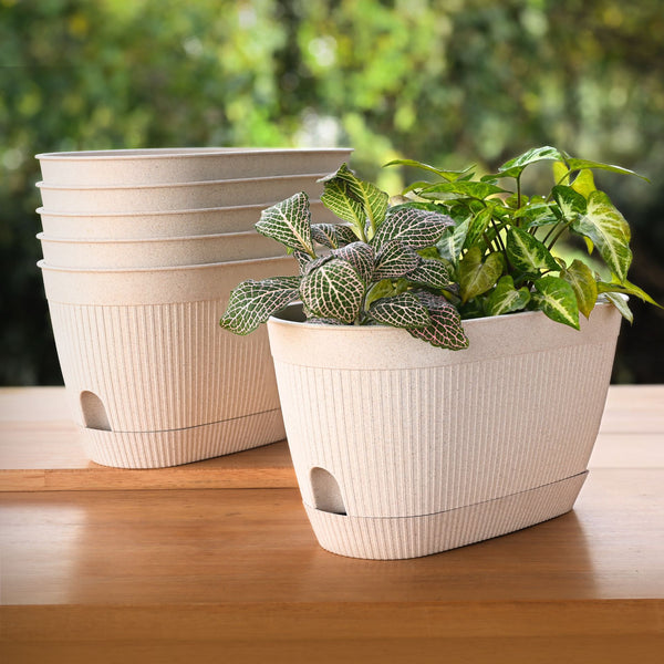 Eha Earth Friendly Eva 11.5 inch Pack of 6 | Self Watering Pots for Plants