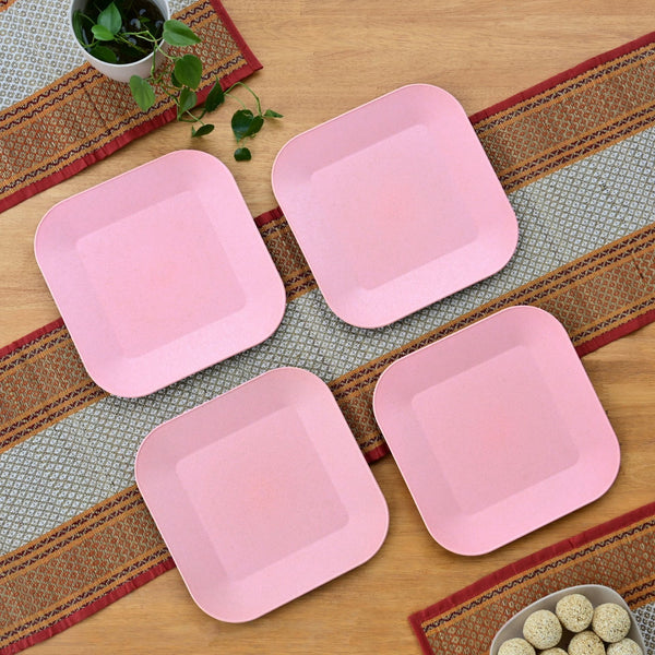 Picnic Plate 9 inch set of 4 | Earth friendly Unbreakable Plates Made with Bamboo Fibers & Rice Husk Fiber
