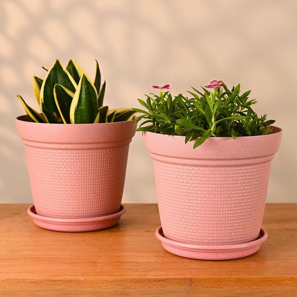 Earth-Friendly Planters Aura 8 Inch set of 2 | Bamboo Based Pots and Planters
