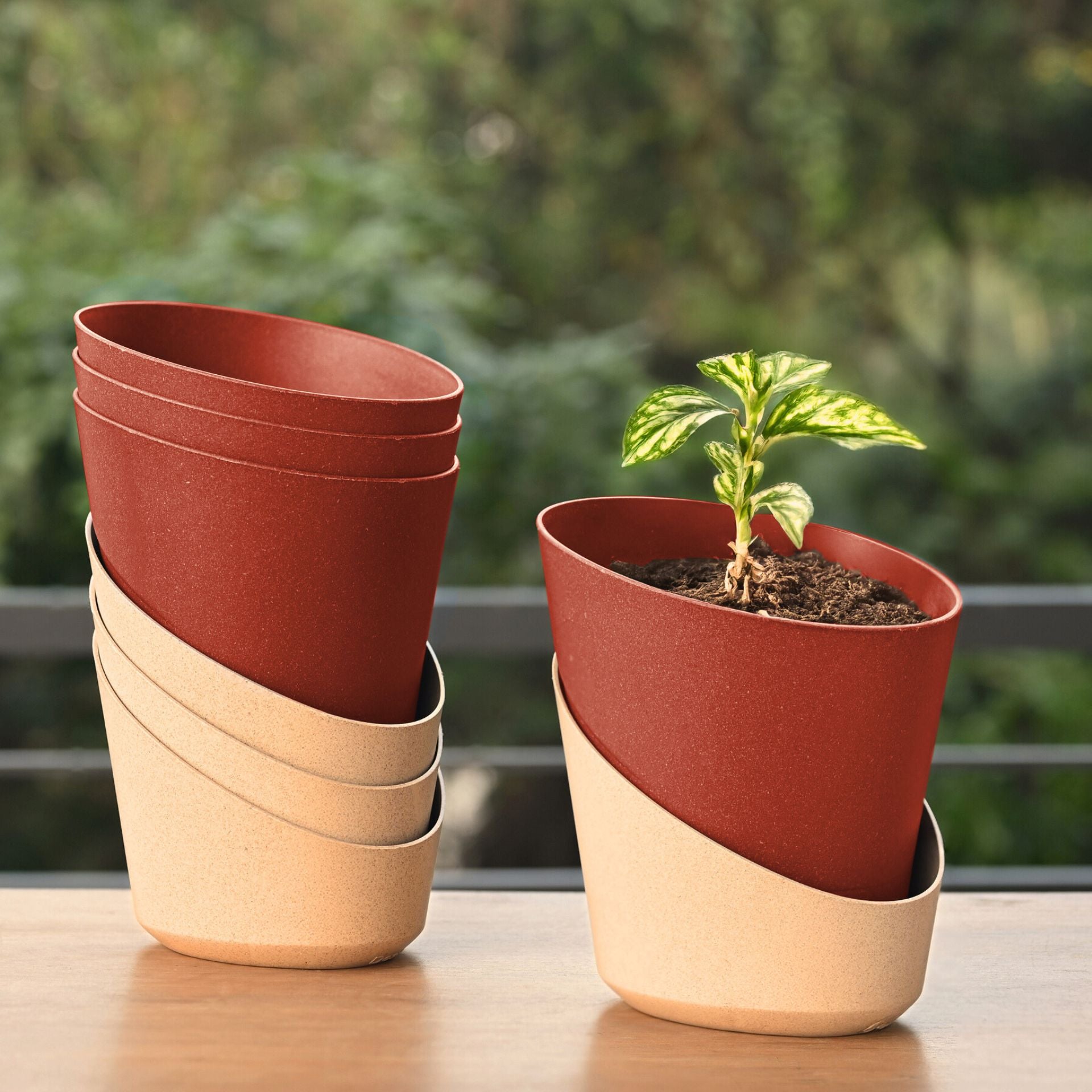 Earth-Friendly Planters EcoBloom 7 Inch set of 4 | Self watering Planters
