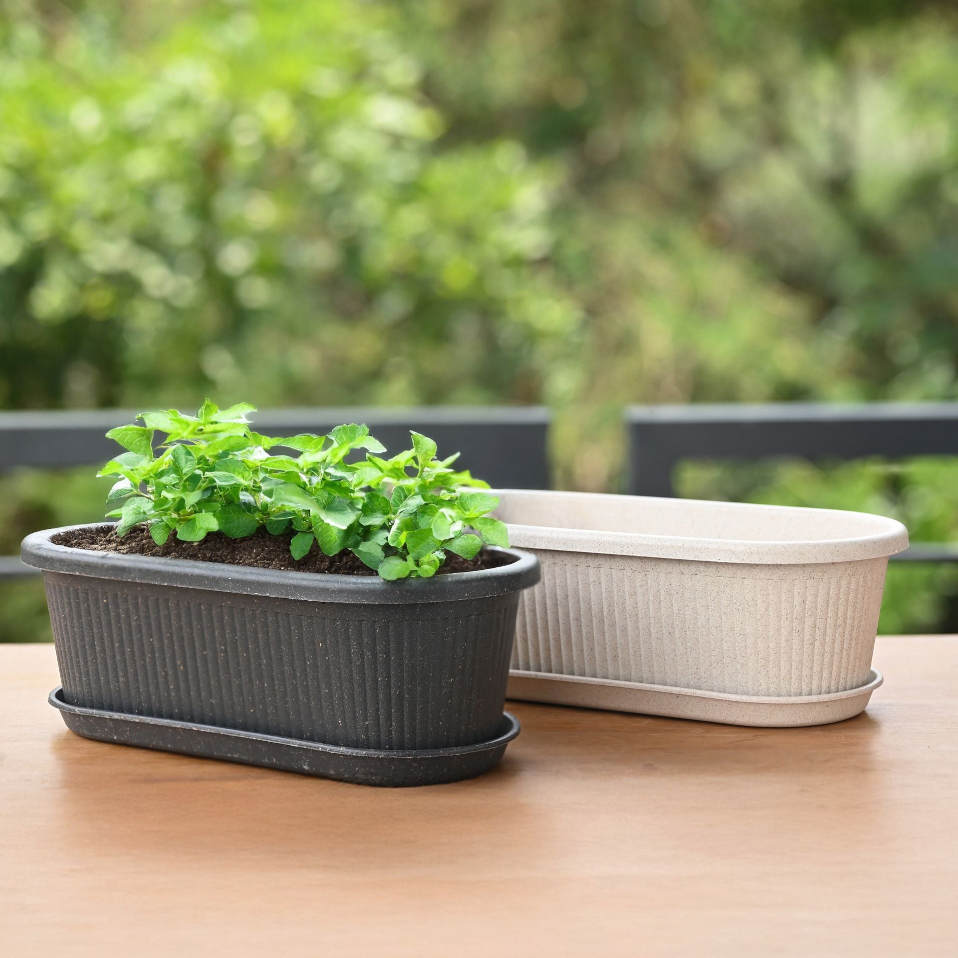 Earth-Friendly Planters Regalia 12 Inch set of 2 | Bamboo Based Pots and Planters