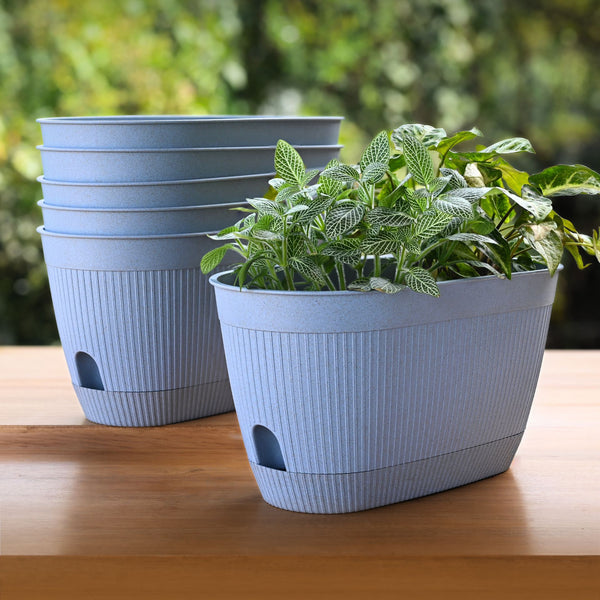 Eha Earth Friendly Eva 11.5 inch Pack of 6 | Self Watering Pots for Plants