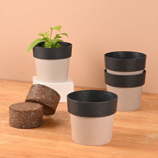 Earth Friendly Ecopod 4 inch Small pots for Indoor Plants with 2 Growmix | Pack of 4
