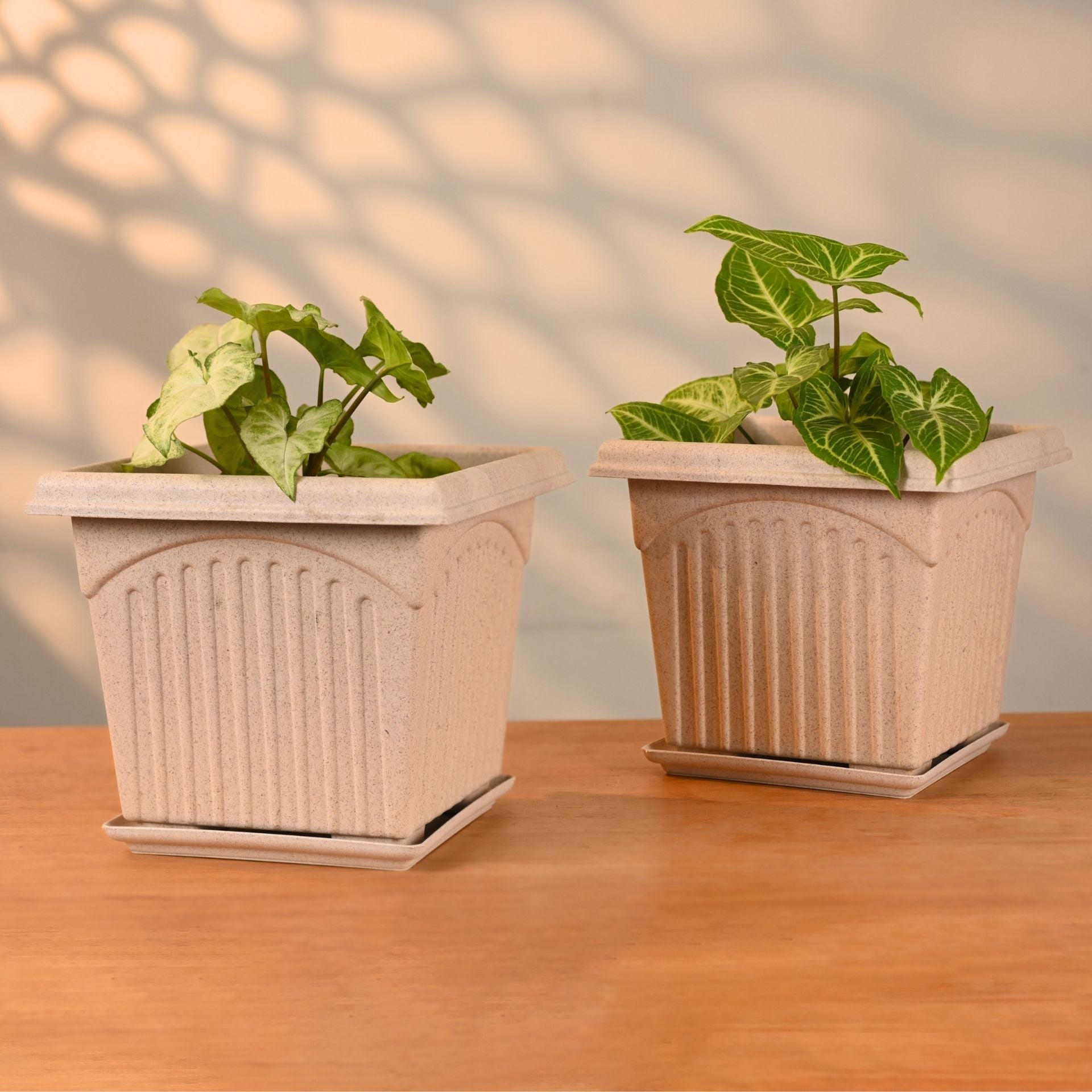 Earth Friendly 8″ Archway Planters with Tray | Set of 2