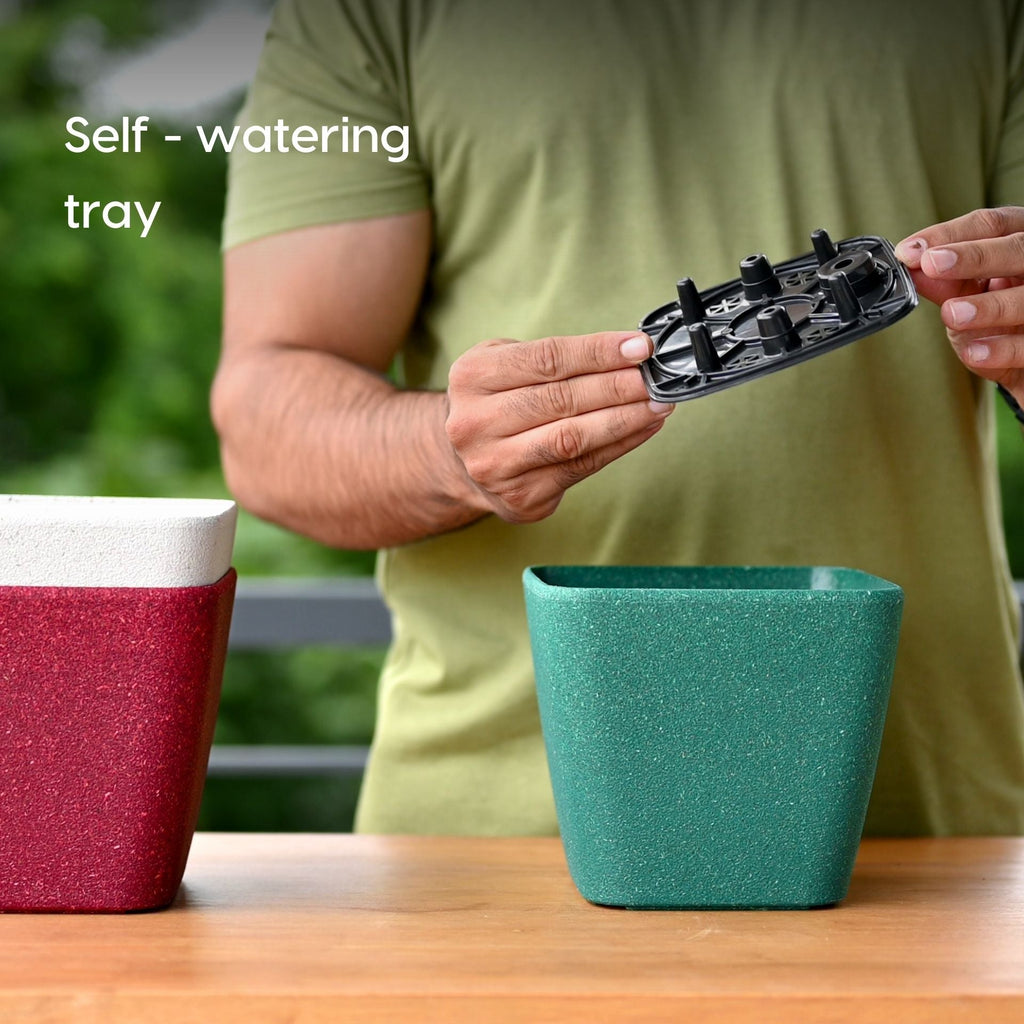 Earth Friendly Daisy Self Watering image 6