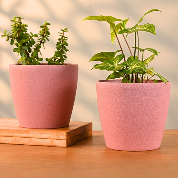 Earth-Friendly Deco Planters 7 Inch set of 2 | Bamboo Based Pots and Planters