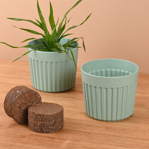Earth Friendly Romano 6 inch Planters for Home Decor with Growmix | Set of 2
