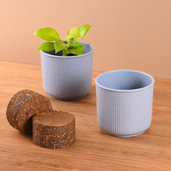 Earth Friendly Statement Pot 4 Inch Pots and Planters with Growmix | Set of 2