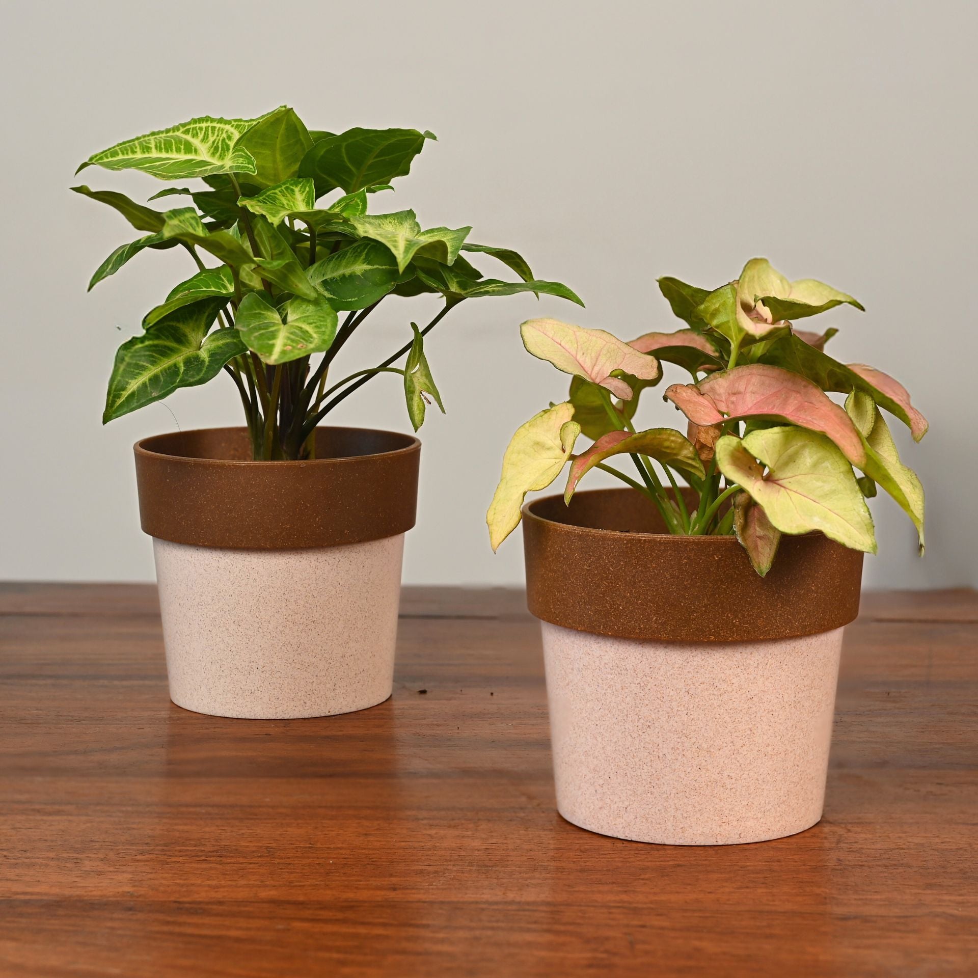 Earth-Friendly Planters EcoPod 4 Inch set of 2 | Bamboo Based Pots and Planters