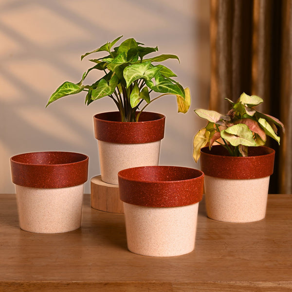 Earth-Friendly Planters EcoPod 4 Inch set of 4 | Bamboo Based Pots and Planters
