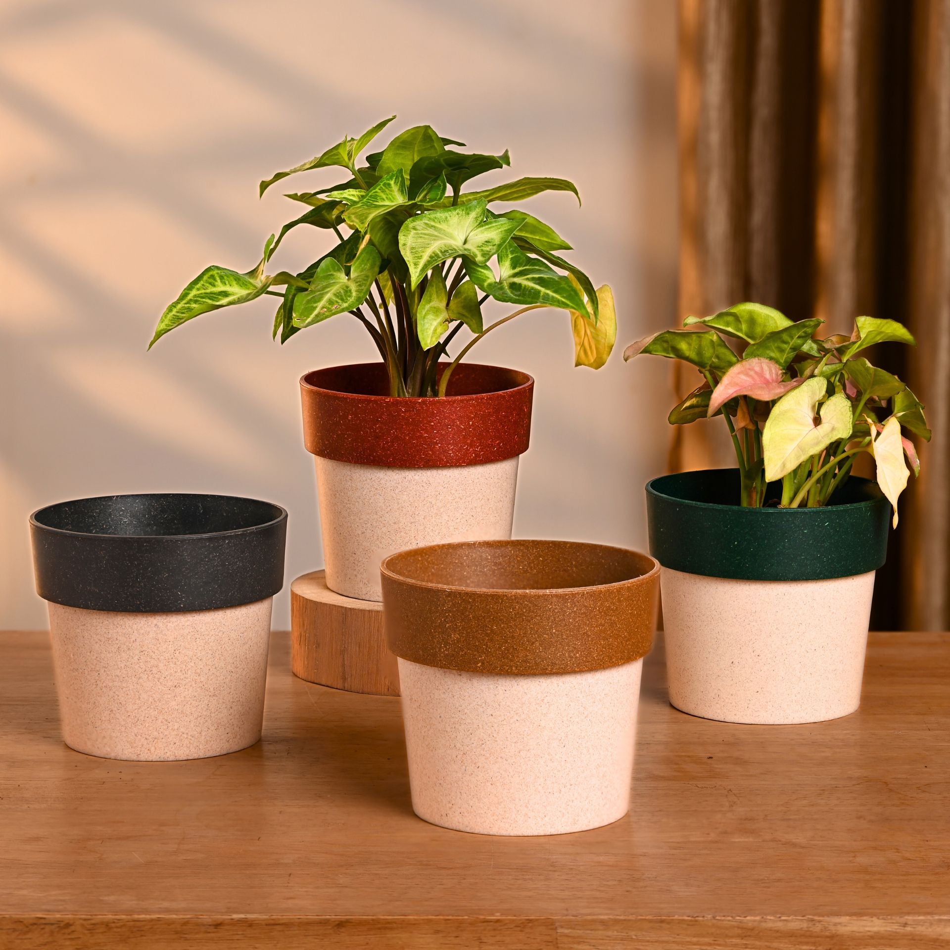 Earth-Friendly Planters EcoPod 4 Inch set of 4 | Bamboo Based Pots and Planters