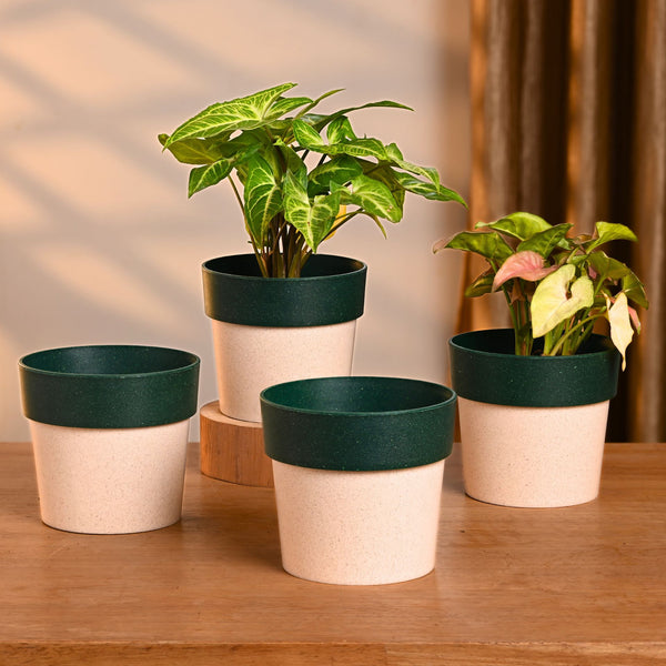 Earth-Friendly Planters EcoPod 4 Inch set of 4 | Bamboo Based Pots and Planters