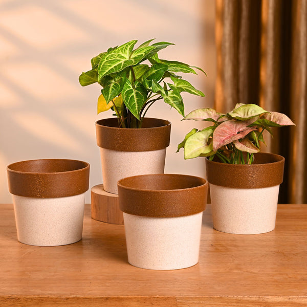 Earth-Friendly Planters EcoPod 4 Inch set of 4 | Bamboo Based Pots and Planters
