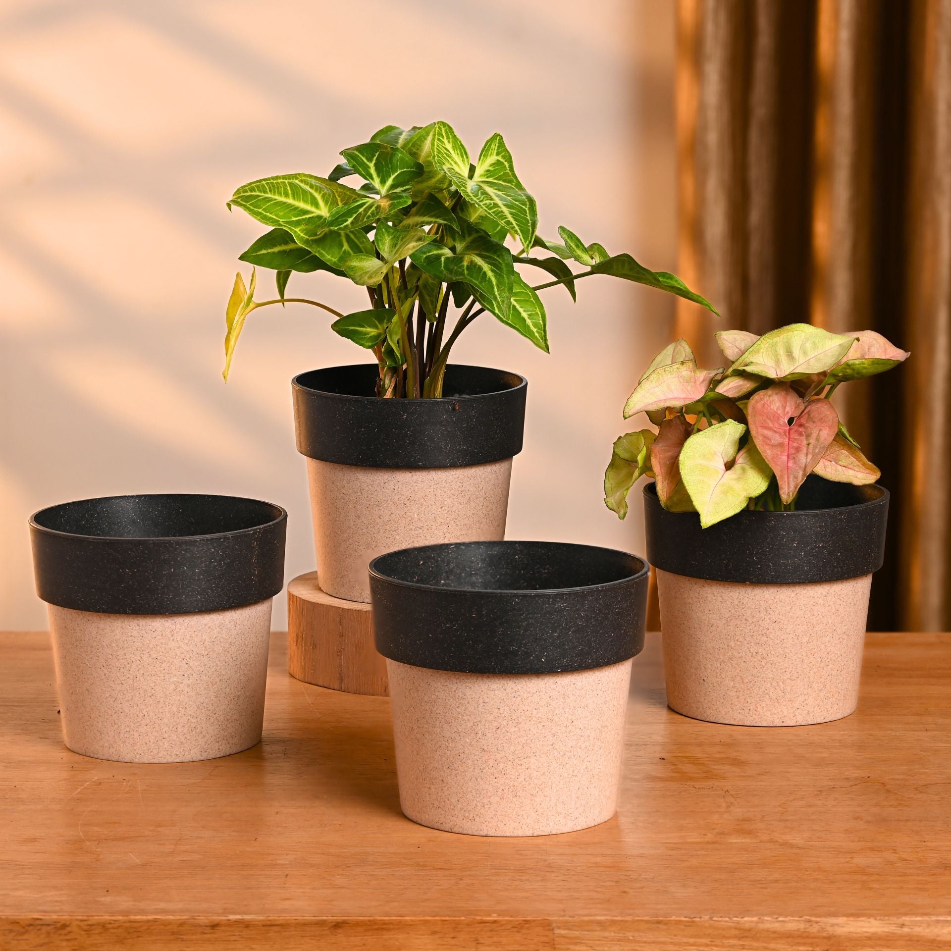Earth-Friendly Planters EcoPod 4 Inch set of 4 | Bamboo Based Pots and Planters