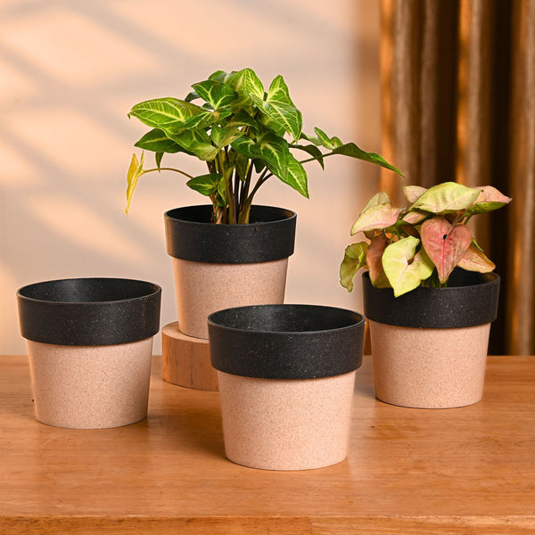 Earth-Friendly Planters EcoPod 4 Inch set of 4 | Bamboo Based Pots and Planters