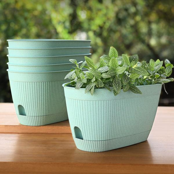 Eha Earth Friendly Eva 11.5 inch Pack of 6 | Self Watering Pots for Plants