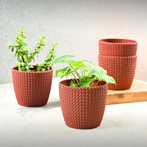 Earth Friendly Link 5.5 inch | Set of 4