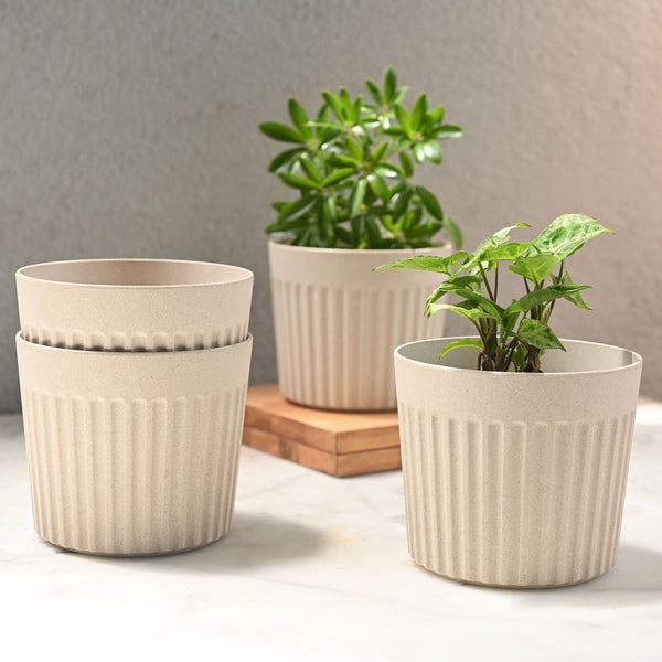 Earth Friendly Romano 6 inch | Set of 4