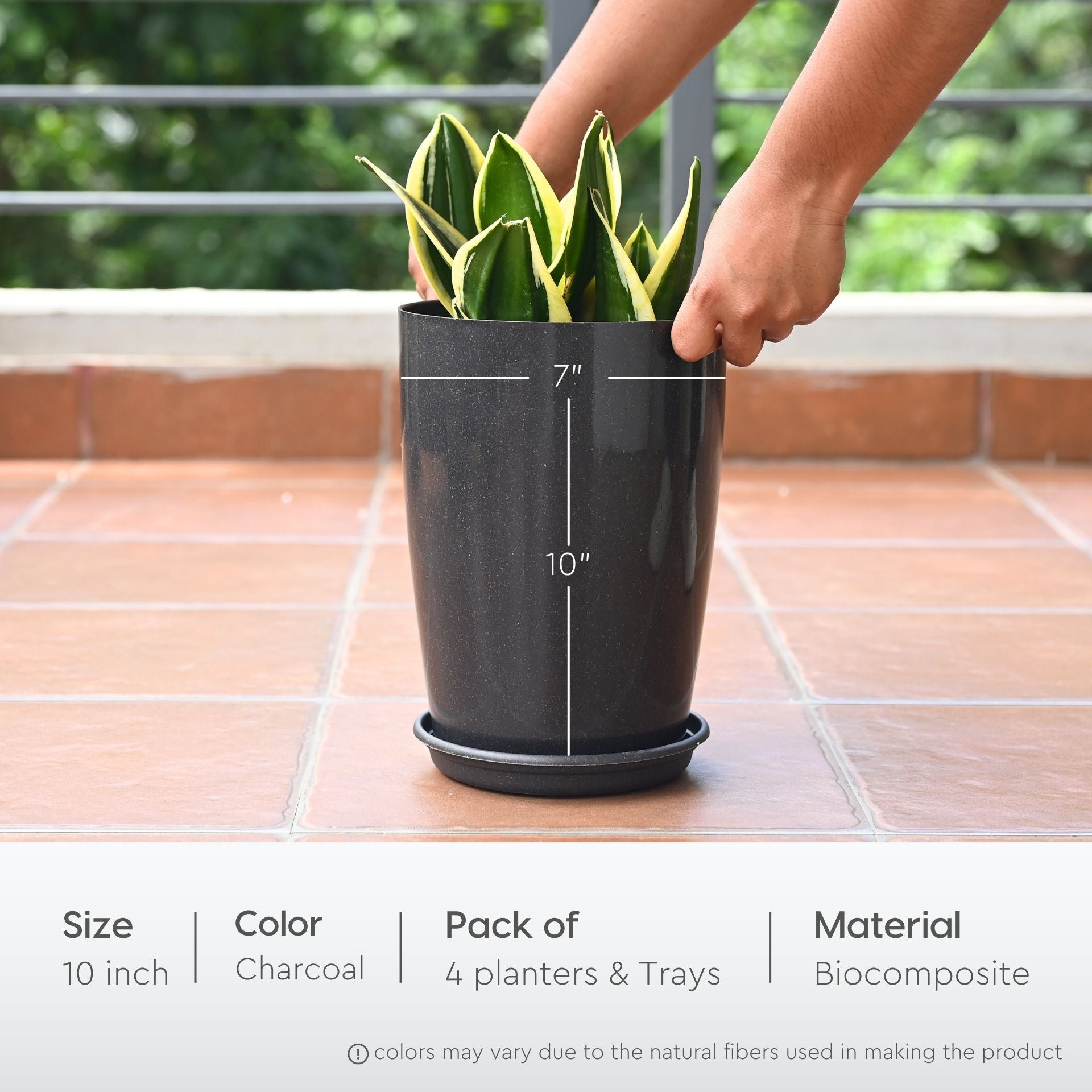 Earth Friendly Cypress 10 4 image 2