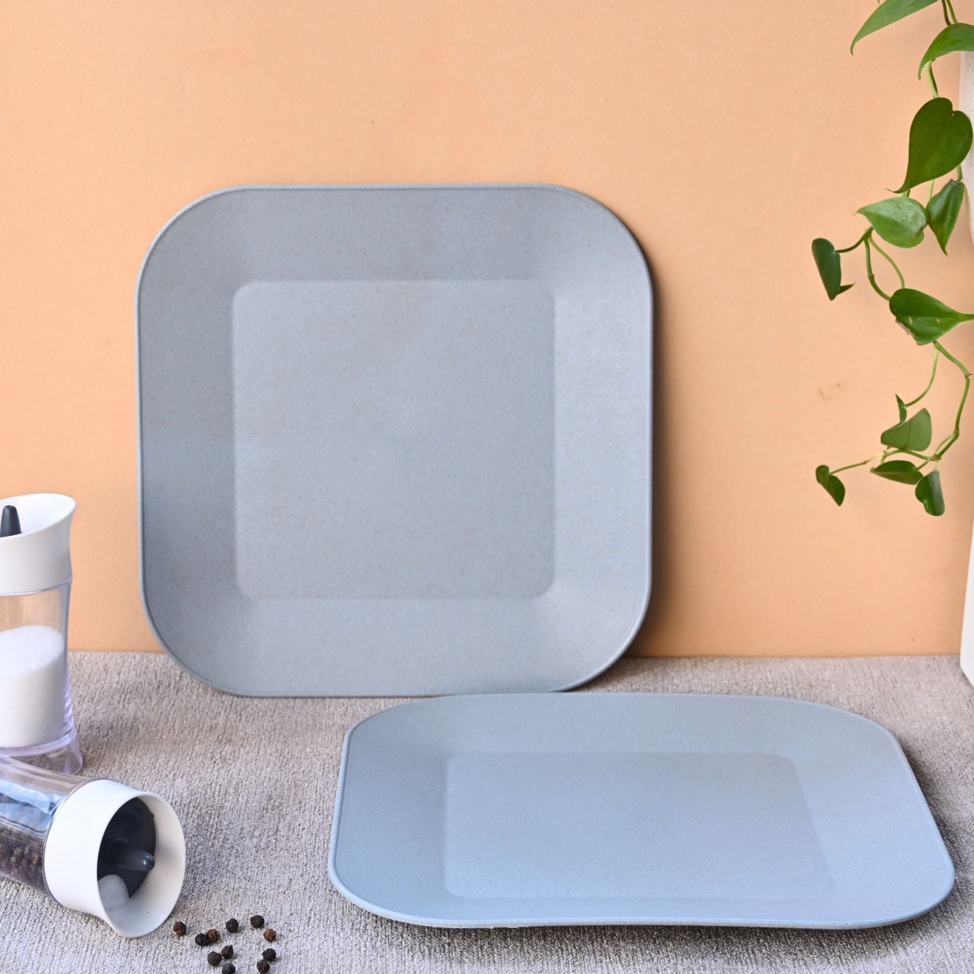 Picnic Plate 9 inch set of 2 | Earth friendly Unbreakable Plates Made with Bamboo Fibers & Rice Husk Fiber