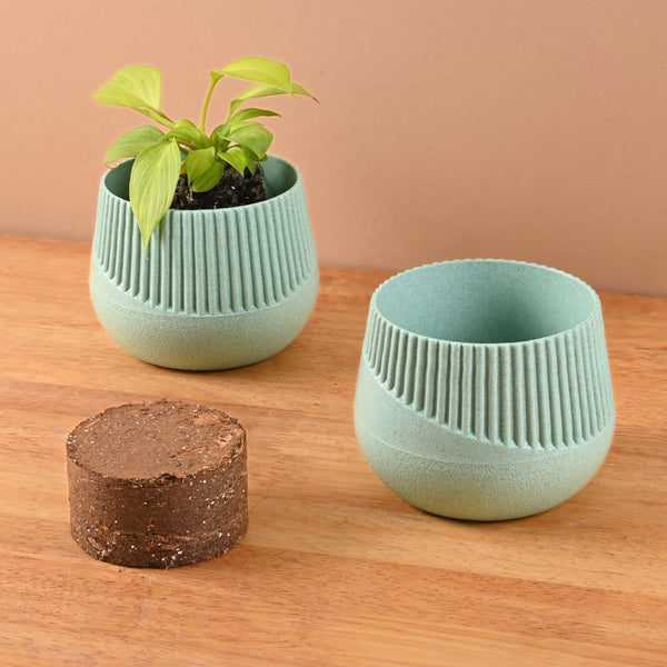 Earth Friendly Oreo 4 inch Small pots for Indoor Plants with 1 Growmix | Pack of 2