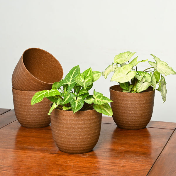 Earth-Friendly Planters Verona 5 Inch set of 4 | Bamboo Based Pots and Planters